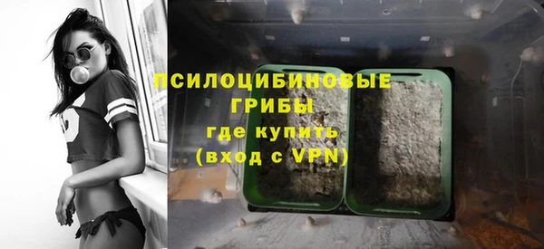 МДПВ Осинники