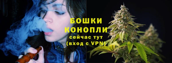 эйфоретик Осташков