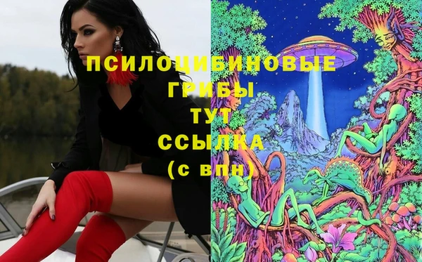 эйфоретик Осташков